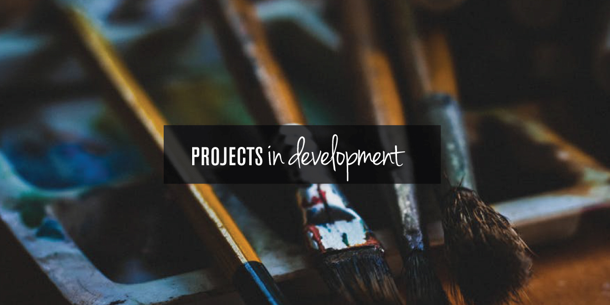 projects in development block