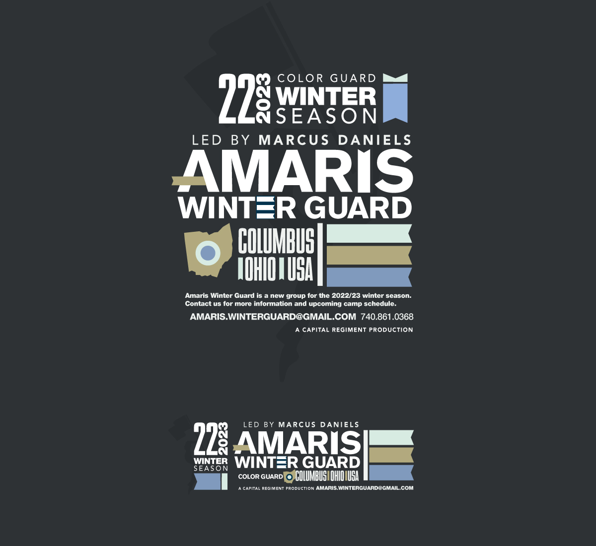amaris visual brand layout