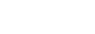 website launch