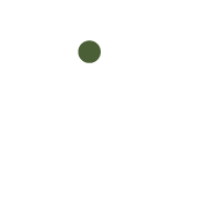 battery fuel icon