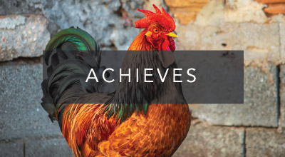 Achieves